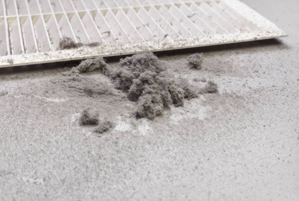 Best Air Duct Cleaning Near Me  in Carson City, MI