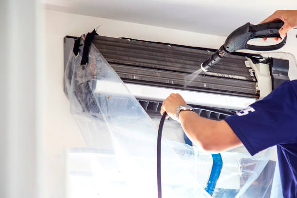 Best Affordable HVAC Duct Cleaning  in Carson City, MI