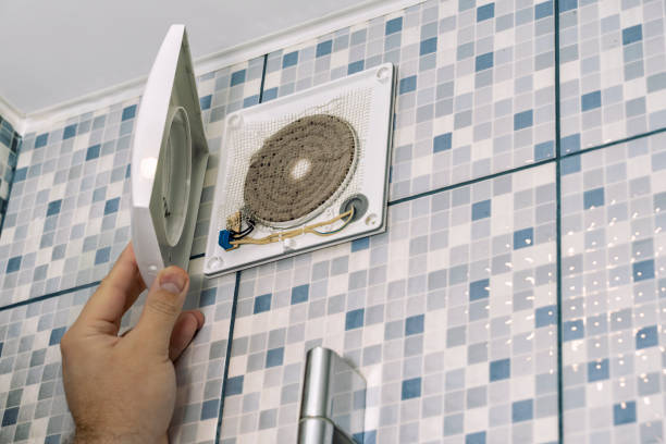 Best Ductwork Cleaning Services  in Carson City, MI