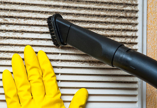 Best Commercial Air Duct Cleaning  in Carson City, MI